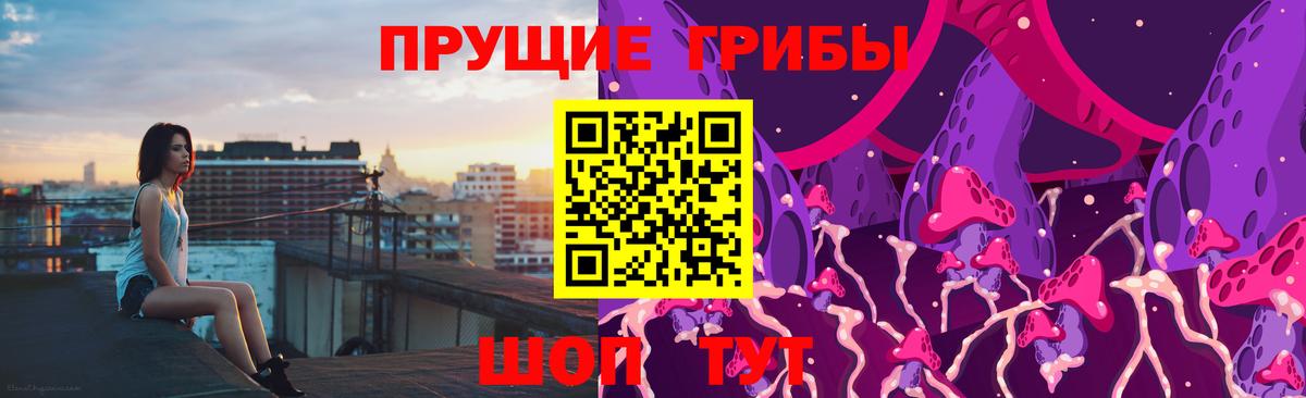 Сухой Лог  Галлюциногенные грибы Magic Shrooms  Псилоцибиновые грибы ЛСД  Вход с VPN 