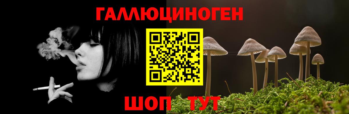 Галлюциногенные грибы мухоморы Сухой Лог